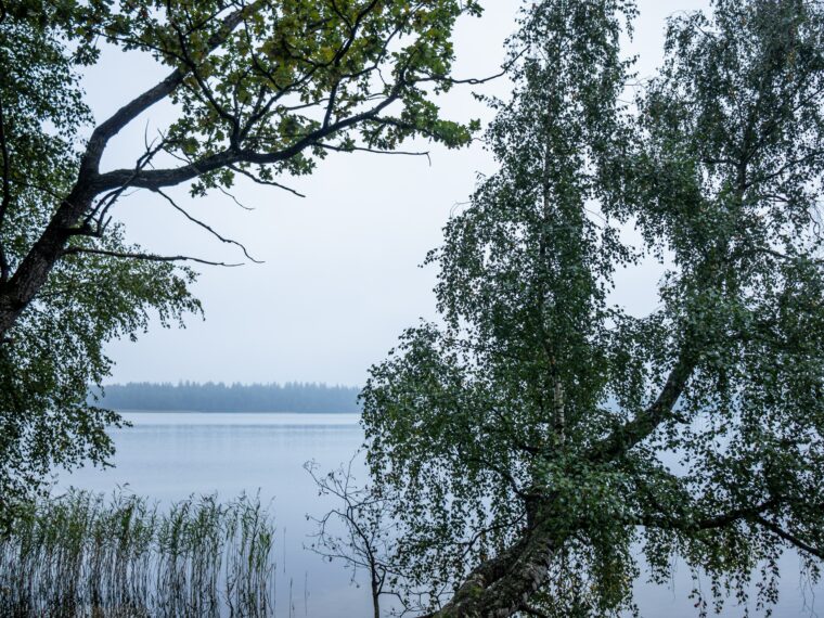 Biélorussie (Belarus)