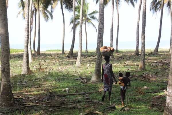 Côte d’Ivoire