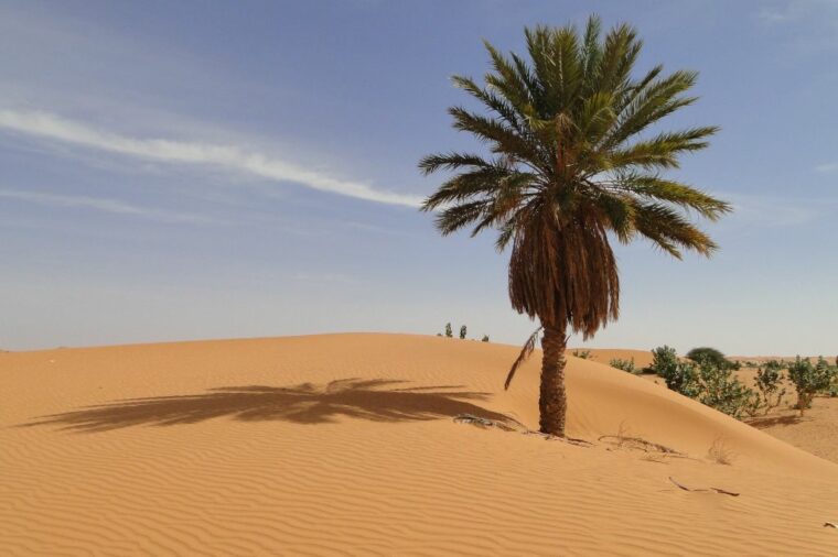 Mauritanie